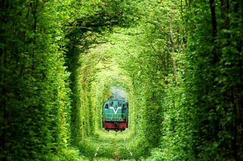 "Tunnel of Love" atau terowongan cinta di Ukraina. Foto: YouTube/inhabitat.com