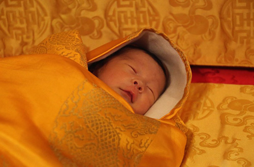 Kelahiran pangeran Bhutan dirayakan dengan aksi penanaman 108.000 pohon. Untuk saat ini sang pangeran diberi panggilan The Gyalsey. Foto: Jetsun Pema/inhabitat.com