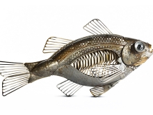 Art_Design_Edouard_Martinet_Hidupkan_Kembali_Besi_Rongsokan_Menjadi_Karya_Seni_05