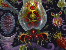 Indahnya_Rupa_Mikroskopik_Dalam_Kanvas_02