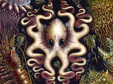 Indahnya_Rupa_Mikroskopik_Dalam_Kanvas_04