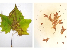 Art_Design_Ketika_Alam_Semesta_Bertahan_Hidup_03