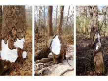 Art_Design_Ketika_Alam_Semesta_Bertahan_Hidup_05