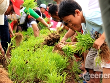 Community_Act_Setelah_Tanam_Saatnya_Panen_02