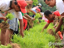 Community_Act_Setelah_Tanam_Saatnya_Panen_04