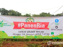 Community_Act_Setelah_Tanam_Saatnya_Panen_05