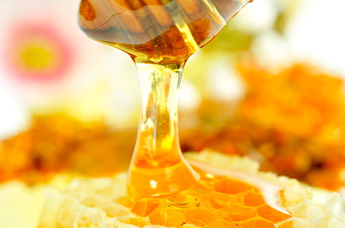 Manfaat_Madu 1 Greeners