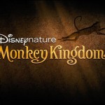 Monkey Kingdom