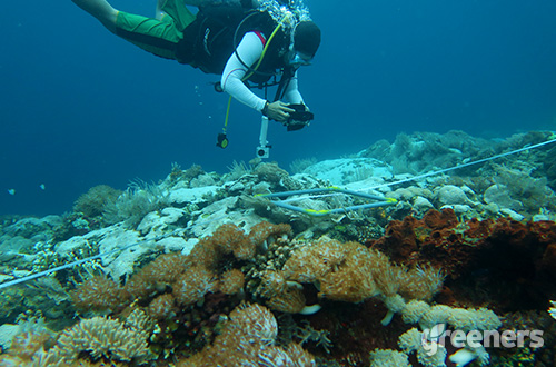 Foto: dok.MSDC UNHAS