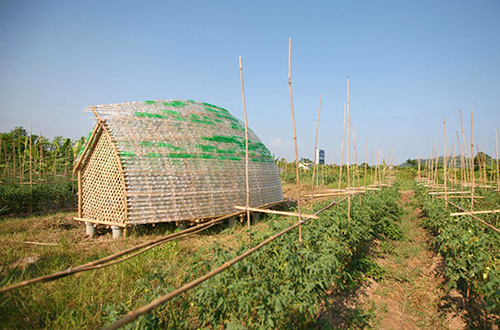 Bottle Seedling House. Foto: Vu Xuan Son/inhabitat.com 