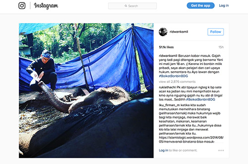 Walikota Bandung Ridwan Kamil berkunjung ke Kebun Binatang Bandung untuk melihat kondisi gajah Yani pada Rabu (11/05). Sumber: Instagram Ridwan Kamil