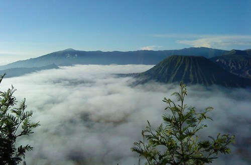 tourism authority agency