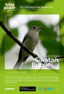 Hari Lingkungan Hidup Sedunia 2016_10