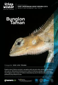 Hari Lingkungan Hidup Sedunia 2016_11