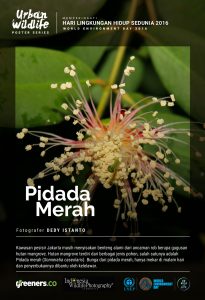 Hari Lingkungan Hidup Sedunia 2016_16