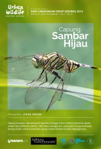 Poster Urban Wildlife 615x900-02