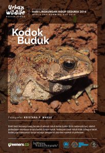 Poster Urban Wildlife 615x900-03