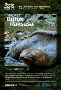 Poster Urban Wildlife 615x900-04