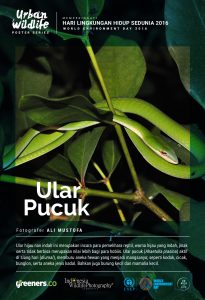 Poster Urban Wildlife 615x900-06