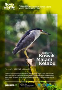 Poster Urban Wildlife 615x900-08