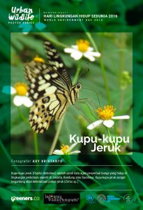 Poster Urban Wildlife 615x900-11