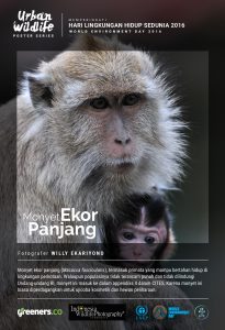 Poster Urban Wildlife 615x900_Artboard 10-09