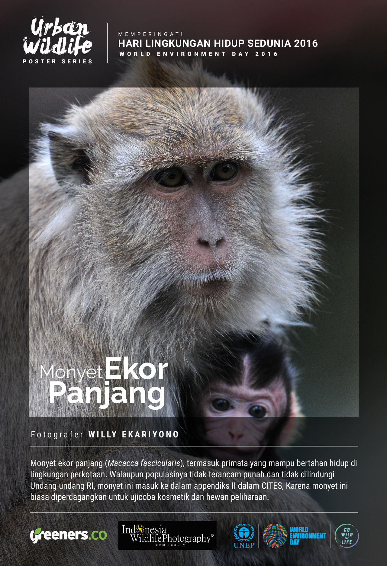 66 Koleksi Gambar Poster Hewan Yang Hampir Punah Terbaik