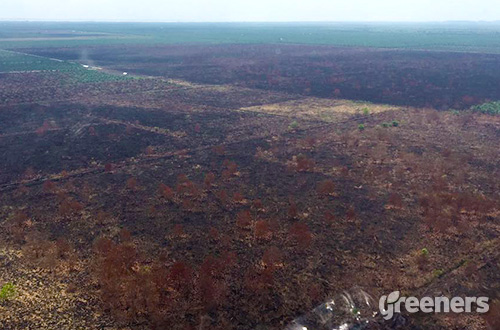 helikopter water bombing
