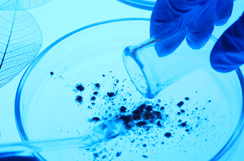 genetic resources protection