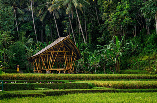 paviliun bambu