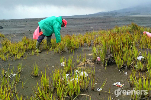 gunung bromo