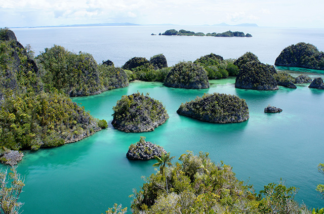 KEHATI Rancang Skema Dana Abadi untuk Raja Ampat Greeners Co