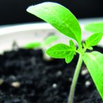 modern nursery facility