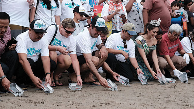 bali big eco weekend