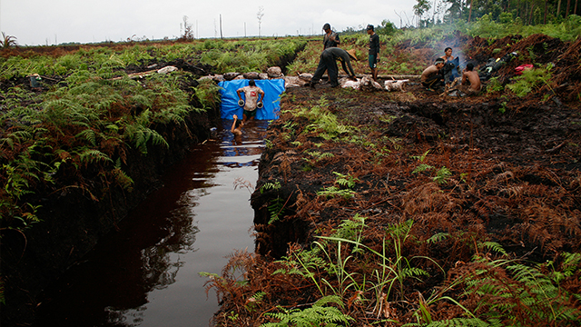penggantian lahan usaha