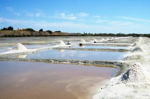 salt fields