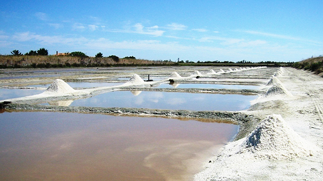 salt fields
