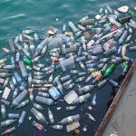 plastic waste management