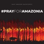 Poster Hutan Amazon Terbakar