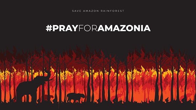 Poster Hutan Amazon Terbakar