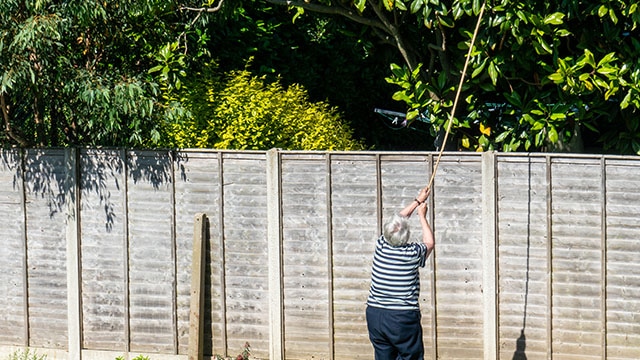 Potong dahan pepohonan yang melewati tembok pembatas warga sebelah