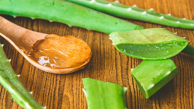 7 Obat Rumahan untuk Sakit Gusi aloevera