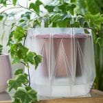 Potrpots, Pot yang Bisa Menyiram Tanaman Secara Otomatis