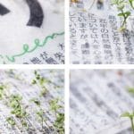 Mainichi Shimbun menciptakan koran yang dapat tumbuh menjadi tanaman.