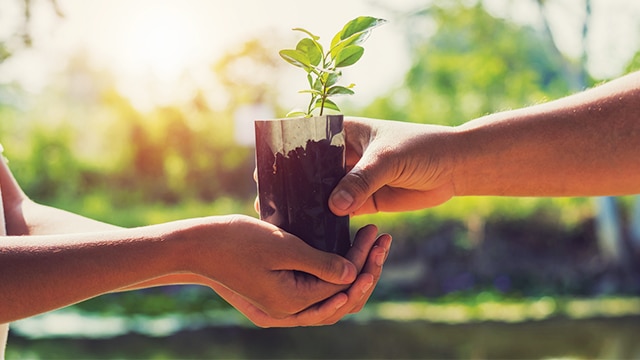 Merayakan natal ramah lingkungan