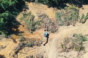 Kerusakan Hutan