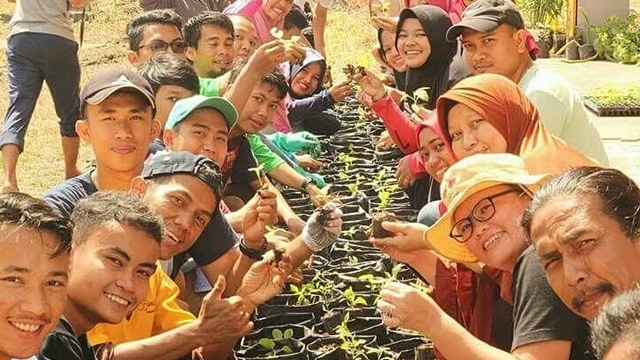 Indonesia Berkebun