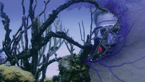 Berpacu dengan Waktu, Selamatkan Terumbu Karang.