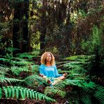 Terapi Hutan, Cara Relaksasi Warga Jepang