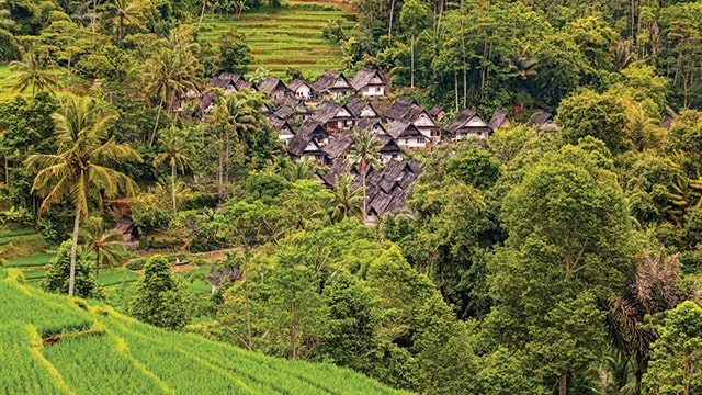 KLHK Targetkan 20.000 Kampung Iklim Pada 2024